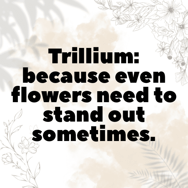 Trillium Captions Photo For Instagram-vdvPd9