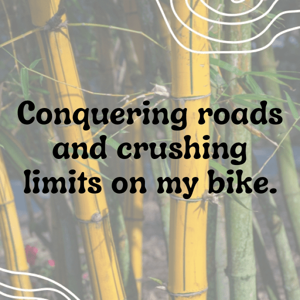 Triumph Daytona Captions Photo for Instagram-KDTeaC