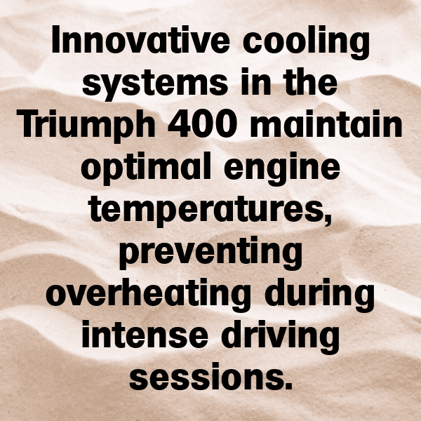 Triumph Speed Twin Captions Photo for Instagram-QZtmAc