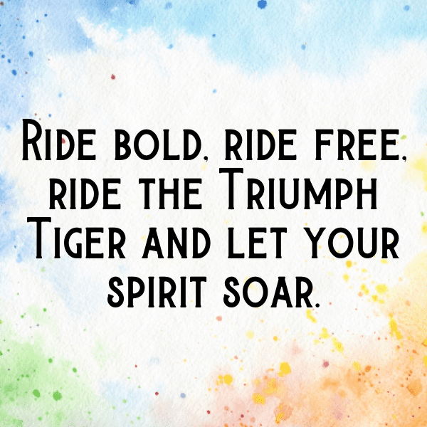 Triumph Tiger 900 Captions Image for Instagram-jHSwSl