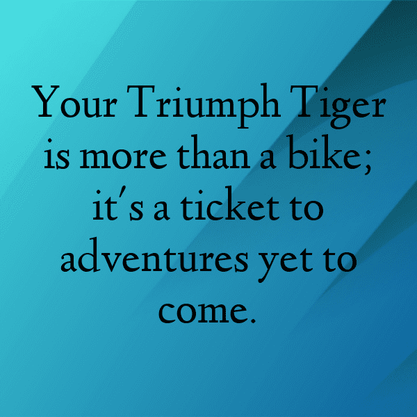 Triumph Tiger 900 Captions Image for Instagram-jJzx03