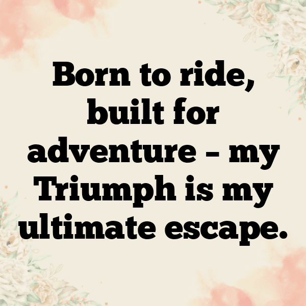 Triumph Tiger 900 Captions Image for Instagram-LgQNpV