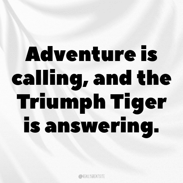 Triumph Tiger Captions Image for Instagram-NcQDKx