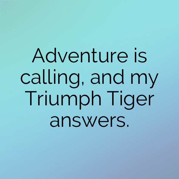 Triumph Tiger Captions Image for Instagram-W0rapg