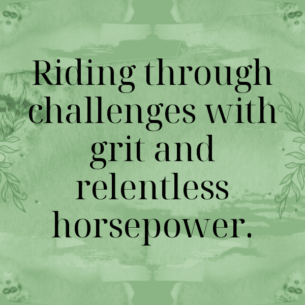 Triumph Tiger Captions Photo for Instagram-VAF9Tj