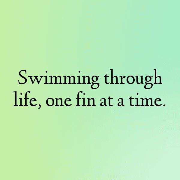 Trout Captions Photo For Instagram-pSA89G