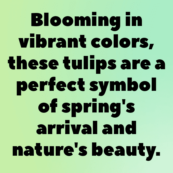 Tuberose Captions Image For Instagram-rbmjiH