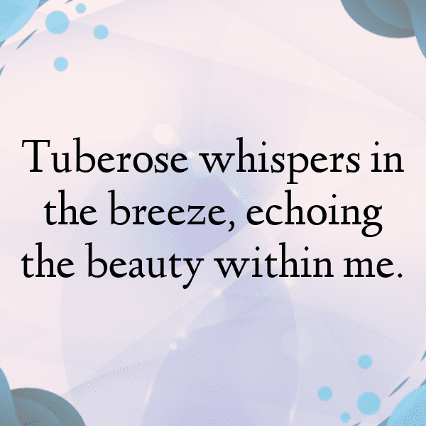 Tuberose Captions Photo For Instagram-A9TrED