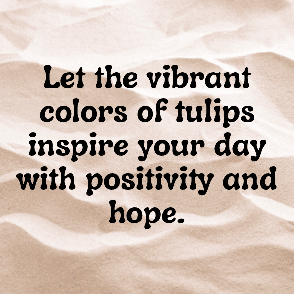Tulip Captions Image For Instagram-8u0g9K