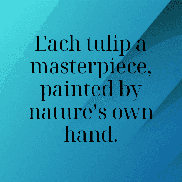 Tulip Captions Image For Instagram-A9BjtF