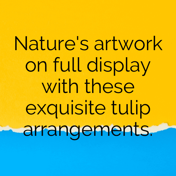 Tulip Captions Image For Instagram-LY28NT