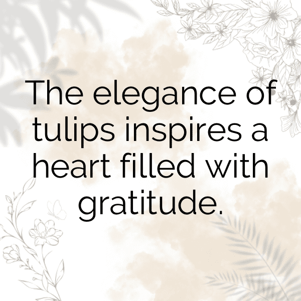 Tulip Captions Image For Instagram-nz3606