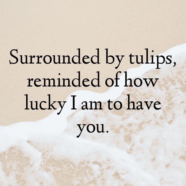 Tulip Captions Image For Instagram-t5BirV