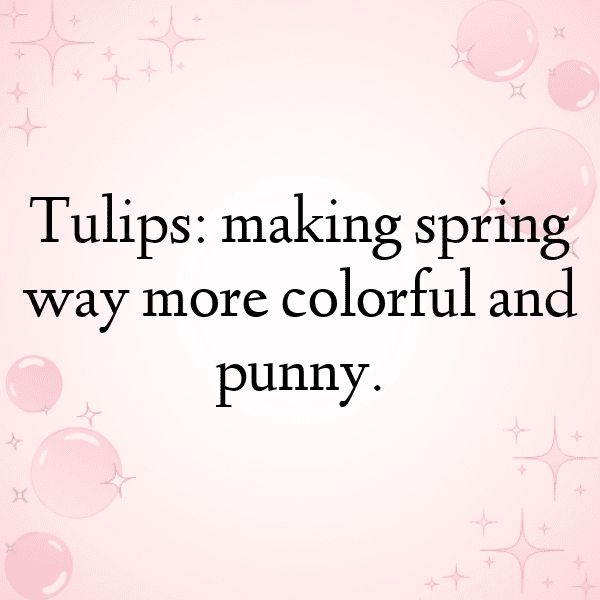 Tulip Captions Photo For Instagram-3BcXYd