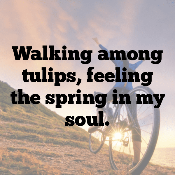 Tulip Captions Photo For Instagram-6ODYMj