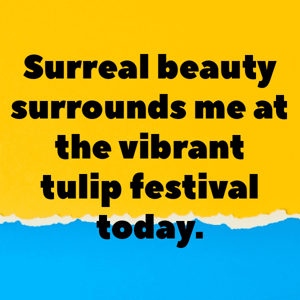 Tulip Captions Photo For Instagram-vFp87R