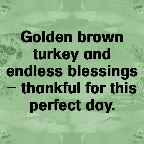 Turkey Captions Photo For Instagram-GpfVz6