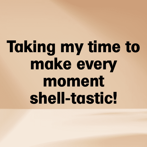 Turtle Captions Image For Instagram-2nOXRz