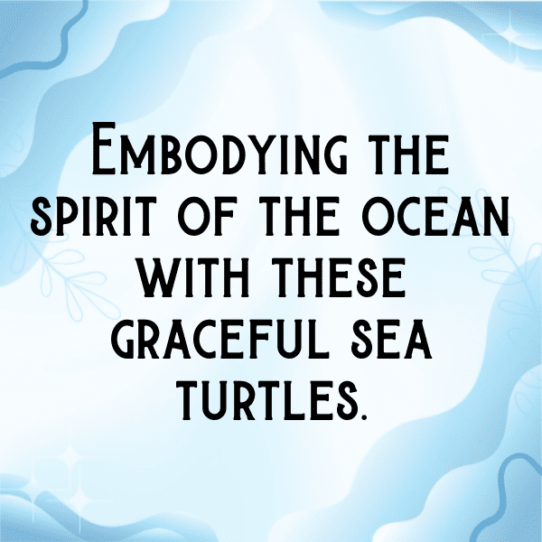 Turtle Captions Image For Instagram-k5W4aD