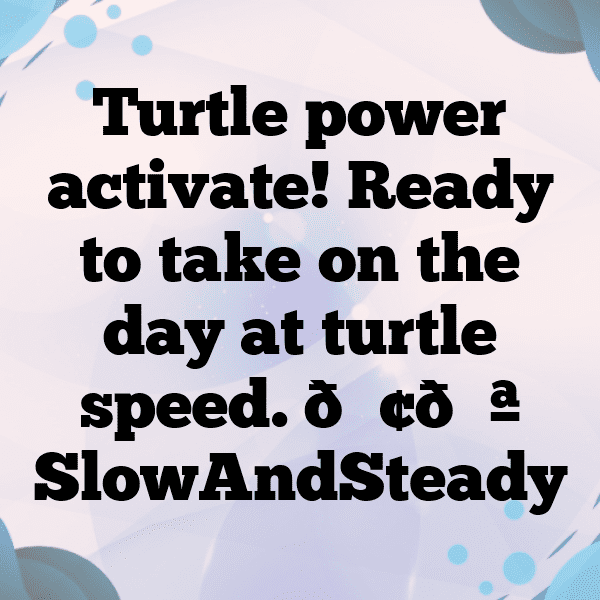 Turtle Captions Image For Instagram-KmyTI0