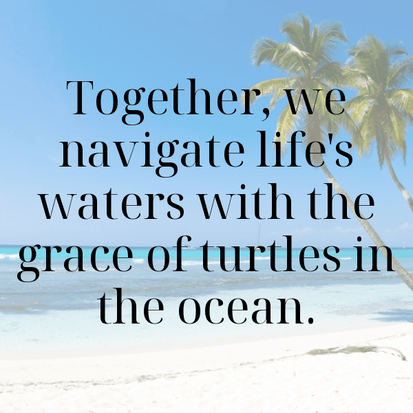 Turtle Captions Image For Instagram-qx3nrJ