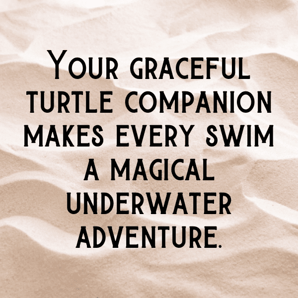 Turtle Captions Image For Instagram-XaUhiP