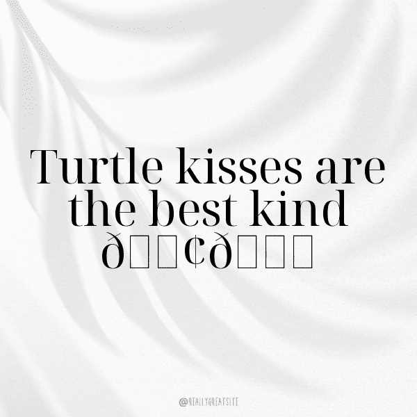 Turtle Captions Photo For Instagram-513lb5