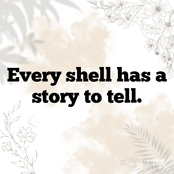 Turtle Captions Photo For Instagram-kjtxNp