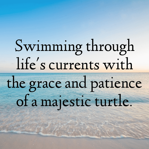 Turtle Captions Photo For Instagram-MsNB0V