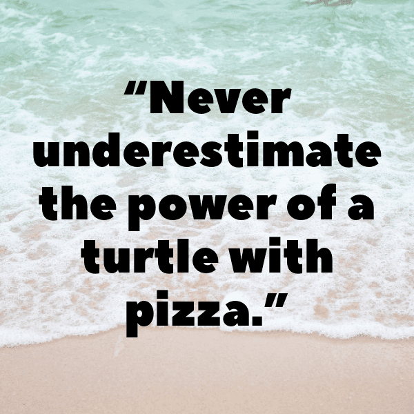 Turtle Captions Photo For Instagram-OF02q4