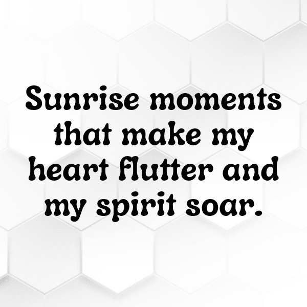 Twilight Captions Photo for Instagram-1SWl8z