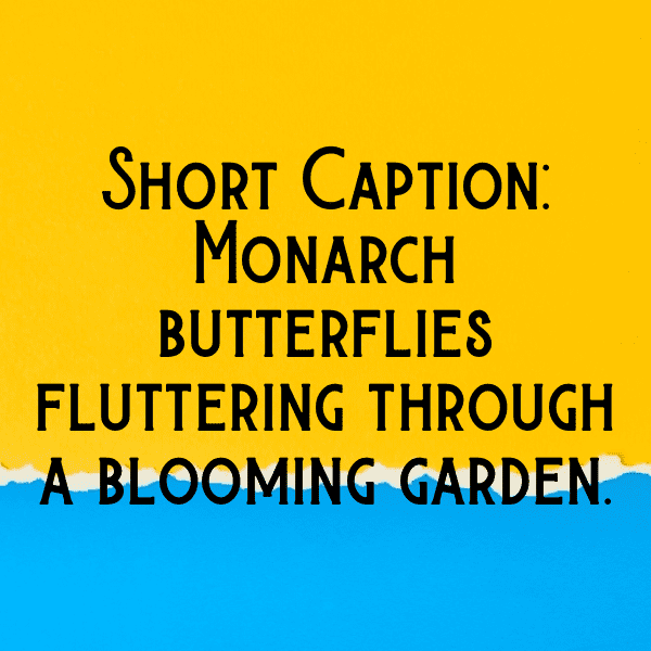 Uganda Captions Image For Instagram-VqyHjz