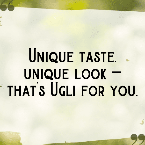 Ugli Fruit Captions Image For Instagram-7qaWQC