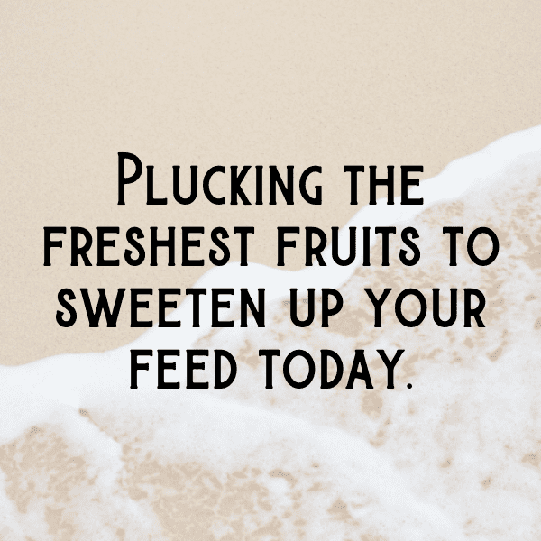 Ugli Fruit Captions Image For Instagram-hOEuee