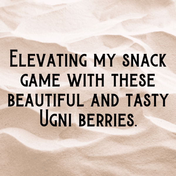 Ugni Berry Captions Image For Instagram-iSaAwn
