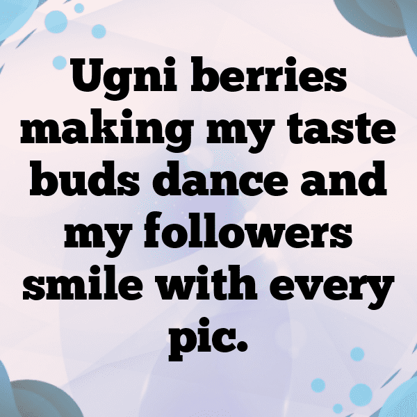 Ugni Berry Captions Photo For Instagram-89DMk0