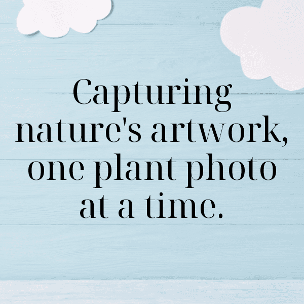 Upland Cress Captions Image For Instagram-8aYPCN