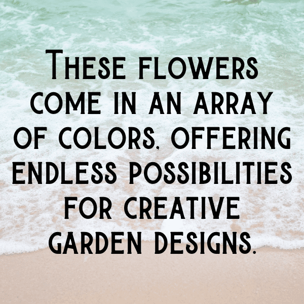 Upland Cress Captions Photo For Instagram-qjvBrA