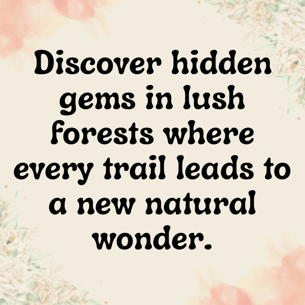 Urban Nature Captions Image for Instagram-7Kn5Wv