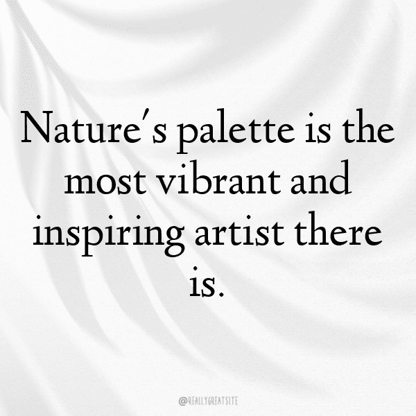 Urban Nature Captions Image for Instagram-NTjpj1