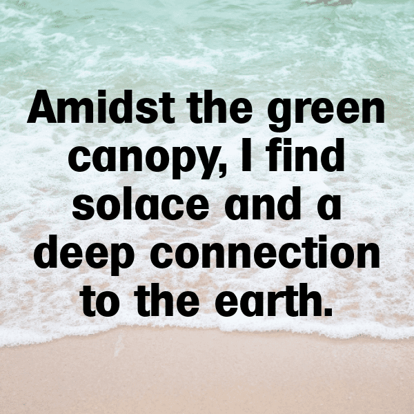 Urban Nature Captions Image for Instagram-RafoBN