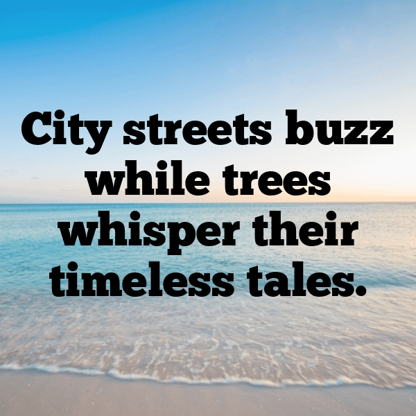 Urban Nature Captions Image for Instagram-ttG9qY