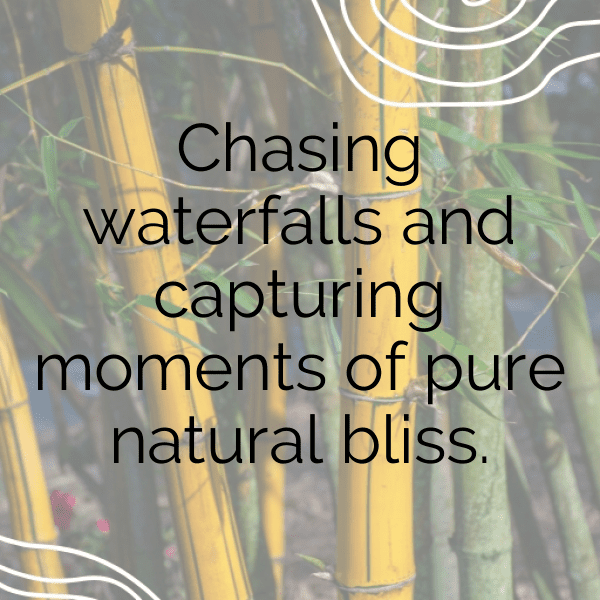 Urban Nature Captions Photo for Instagram-29xniK