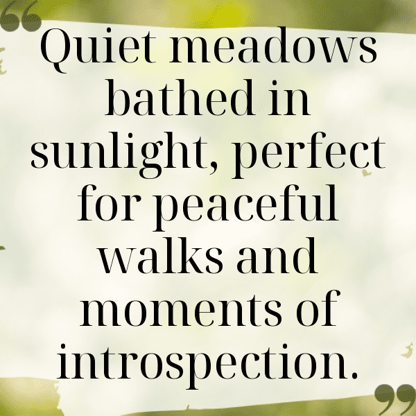 Urban Nature Captions Photo for Instagram-dYzaIj