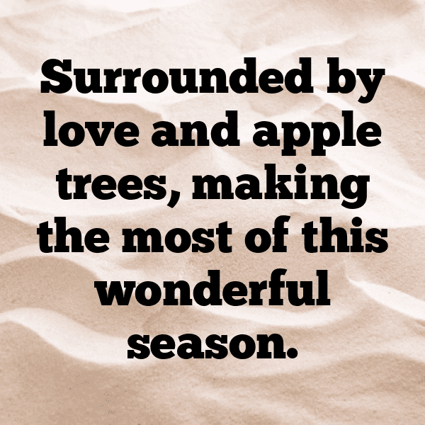 Velvet Apple Captions Photo For Instagram-lh7U9L