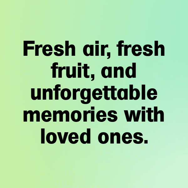 Velvet Apple Captions Photo For Instagram-zYWpzg