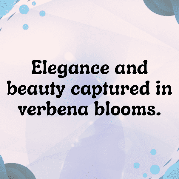 Verbena Captions Photo For Instagram-sE2ECw