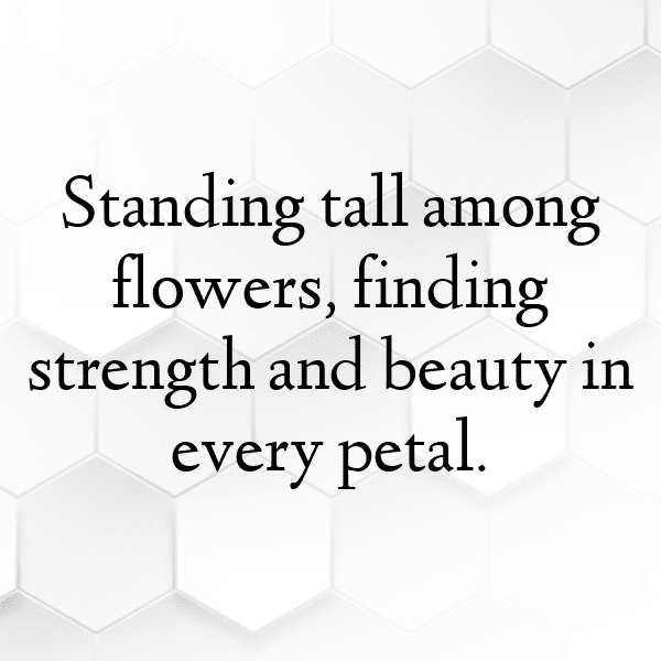 Verbena Captions Photo For Instagram-va9XNq