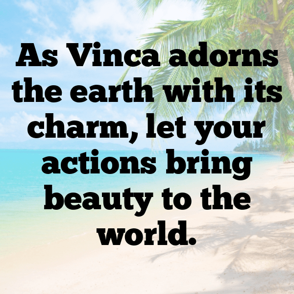 Vinca Captions Image For Instagram-2NEfsF