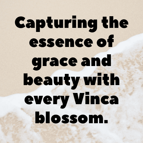 Vinca Captions Image For Instagram-7k4j97